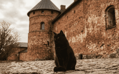 Uusi ulkopakopeli pelattavissa kesäkuussa 🔐